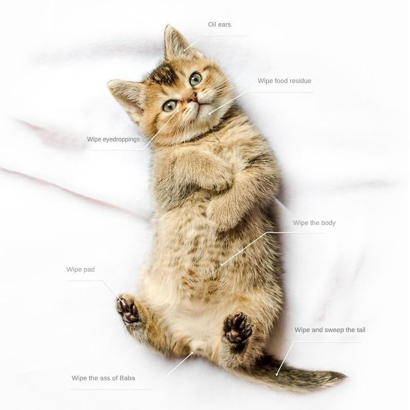 PET Cleaning Deodorizing Bathing Wipes ForDogs And Cats, Nourish Fur Coconut OilGrooming Wipes For Dogs, Pet Cleaning GlovesWipes For Daily Care And Traveling.Hypoallergenic Everware Hub