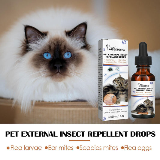 Igbang Pet External Deworming Drops For Cats And Dogs To Remove Ticks And Fleas Everware Hub