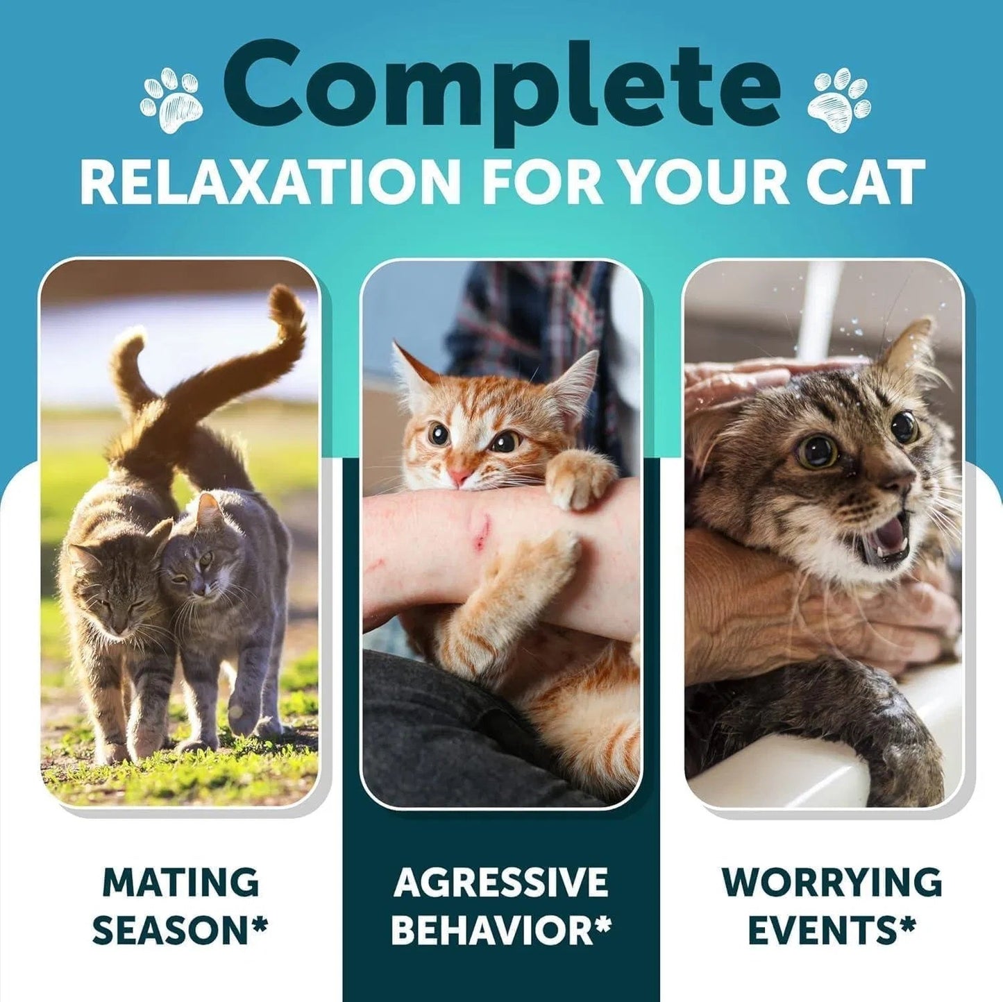 Hemp Calming Treats for Cats & Kittens,Stress & Anxiety Relief with Melatonin Everware Hub