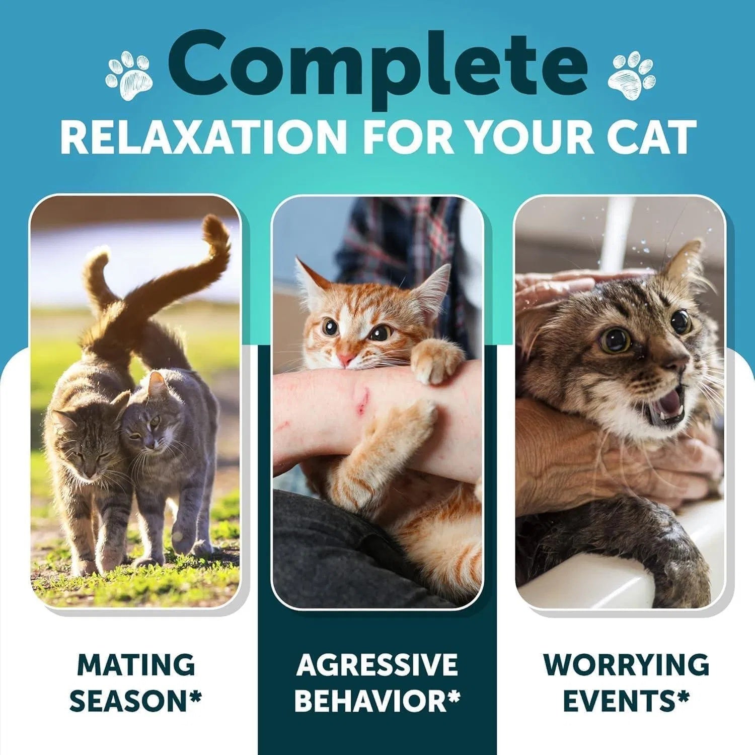 Hemp Calming Treats for Cats & Kittens,Stress & Anxiety Relief with Melatonin Everware Hub
