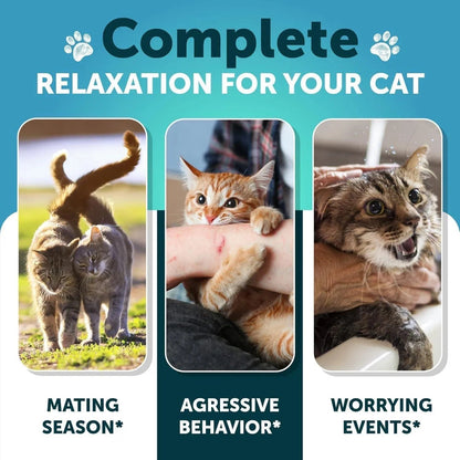 Hemp Calming Treats for Cats & Kittens,Stress & Anxiety Relief with Melatonin Everware Hub