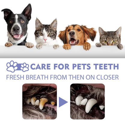 Yegebang Cat And Dog Teeth Cleaning Spray Pet Oral Cleaning Deodorizing Fresh Breath Everware Hub
