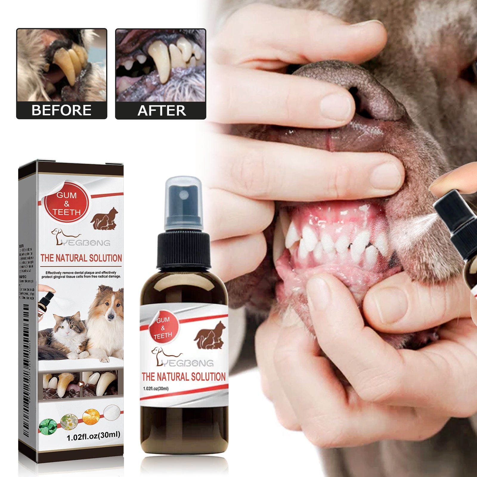 Spray De Limpieza Dental Para Mascotas Everware Hub