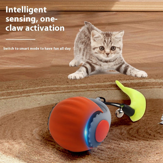 Gravity Cat Toy Ball ,Automatic Funny Interactive Ball for Cats & Kittens Everware Hub