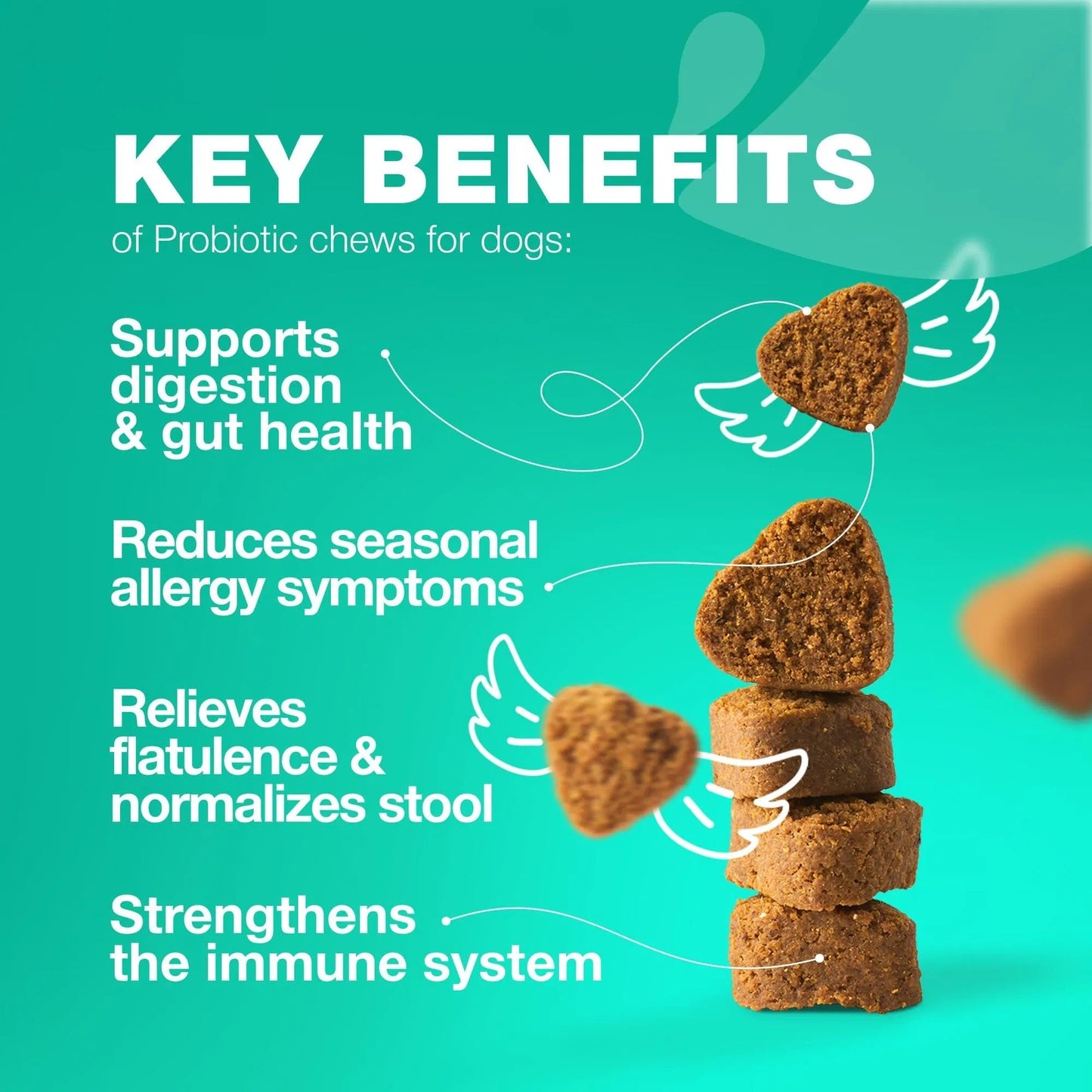 Probiotics for Dogs,180 Chews for Gut Health, Immunity & Itchy Skin Everware Hub