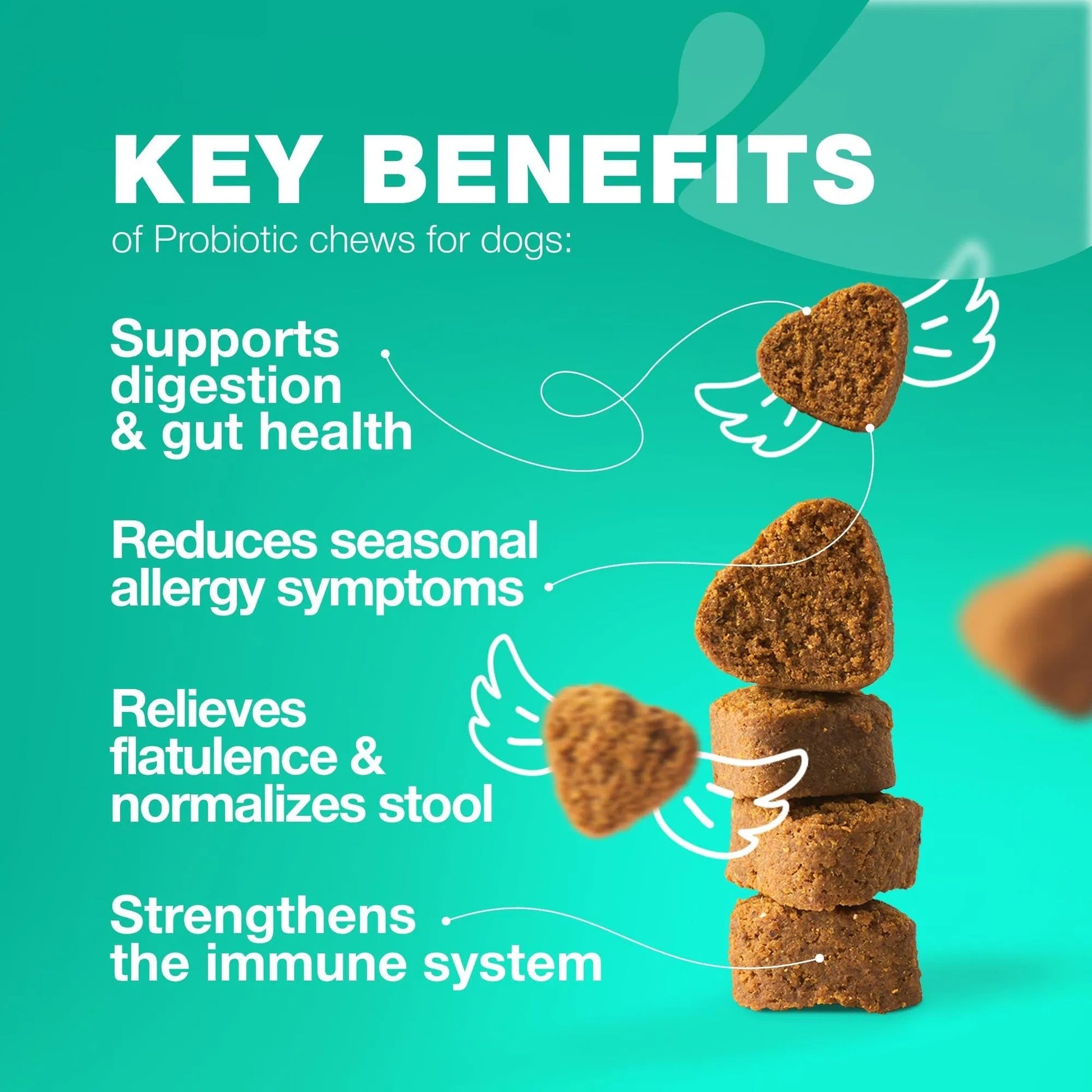 Probiotics for Dogs,180 Chews for Gut Health, Immunity & Itchy Skin Everware Hub