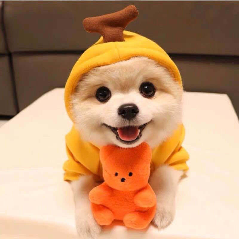 Cute Fruit Dog Clothes For Small Dogs Hoodies Winter Warm Fleece Pet Clothing Puppy Cat Costume Coat For French Chihuahua Outfit Everware Hub