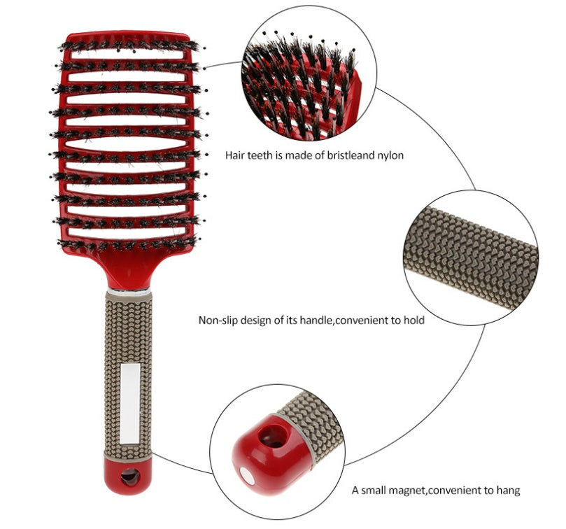Hairbrush Anti Klit Brushy Haarborstel Women Detangler Hair Brush Bristle Nylon Scalp Massage  Teaser Hair Brush Comb Everware Hub