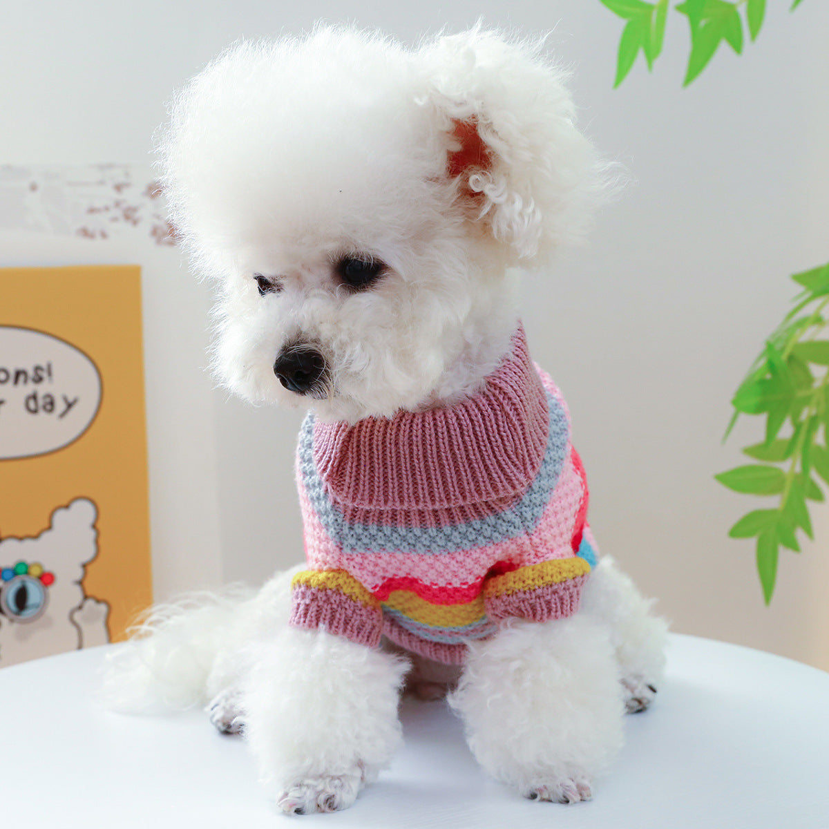 Pet Ring Comfortable Color Stripes Colorful Sweater Everware Hub