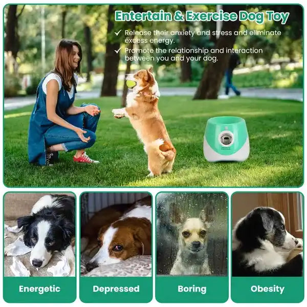 Automatic Dog Ball Launcher – 6 Tennis Balls Included