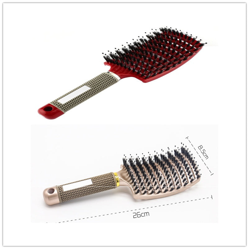 Hairbrush Anti Klit Brushy Haarborstel Women Detangler Hair Brush Bristle Nylon Scalp Massage  Teaser Hair Brush Comb Everware Hub