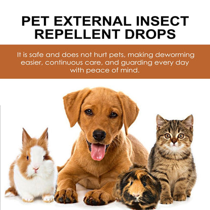 Igbang Pet External Deworming Drops For Cats And Dogs To Remove Ticks And Fleas Everware Hub