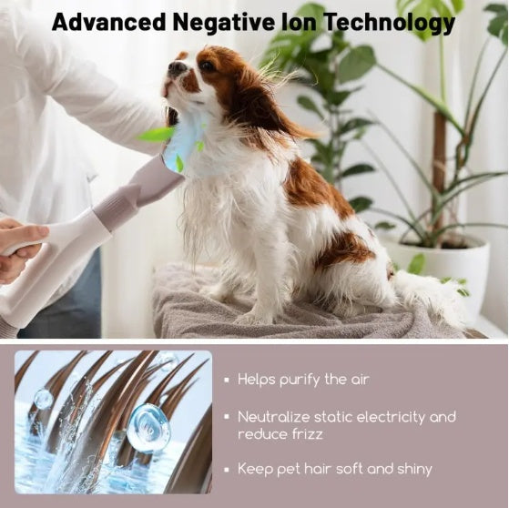 1 Pc Dog Cat Hair Blower With Negative Ion Function And Adjustable Temperature Everware Hub