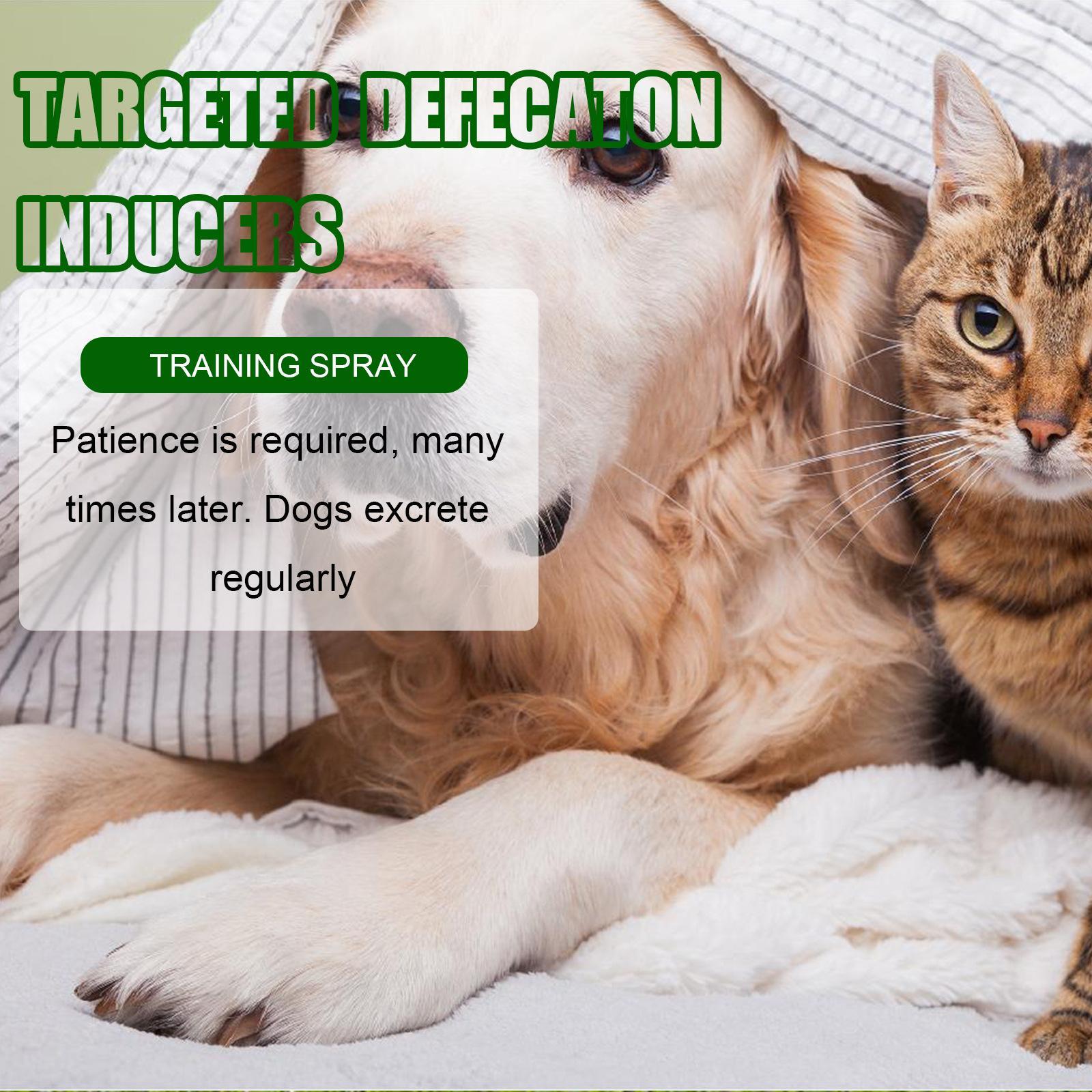 Yibang Pet Positioning Defecation Inducer Pet Toilet Inducer Urine Locator Toilet Training Agent Everware Hub