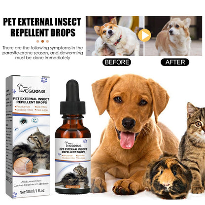 Igbang Pet External Deworming Drops For Cats And Dogs To Remove Ticks And Fleas Everware Hub