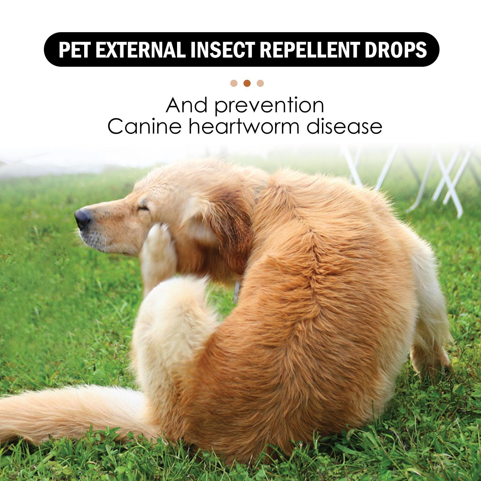 Igbang Pet External Deworming Drops For Cats And Dogs To Remove Ticks And Fleas Everware Hub
