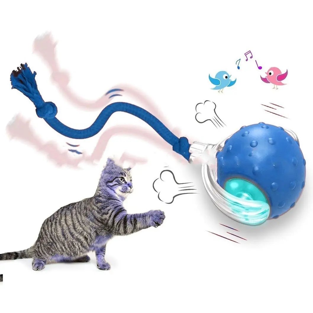 Interactive Cat Toy Ball, Super Drive Rolling Ball for Active Play Everware Hub