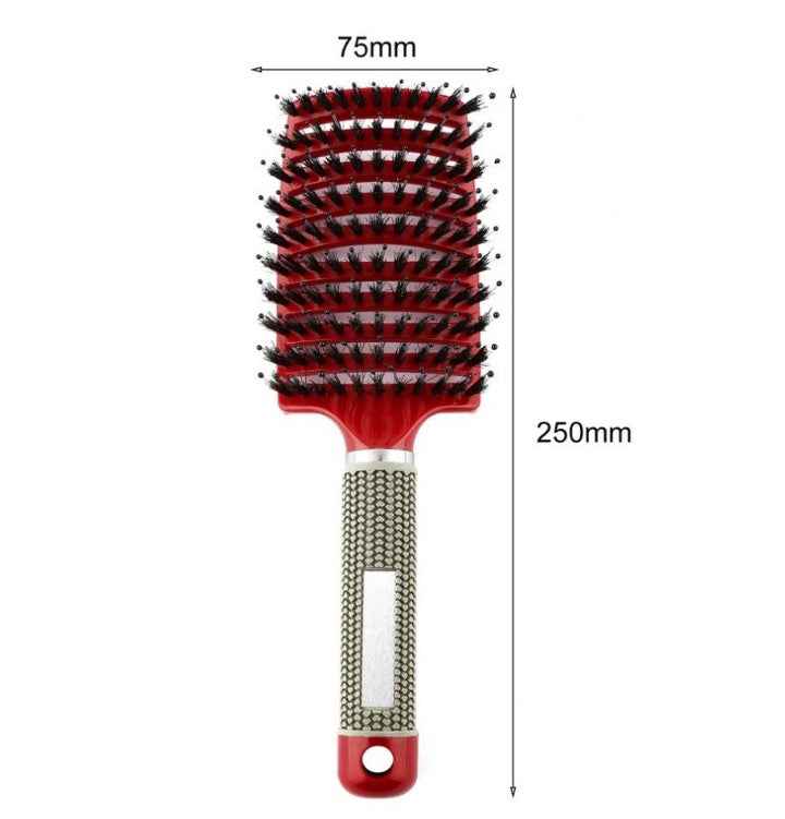Hairbrush Anti Klit Brushy Haarborstel Women Detangler Hair Brush Bristle Nylon Scalp Massage  Teaser Hair Brush Comb Everware Hub