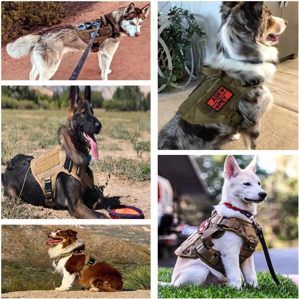 Pet Harness Luxury Dog Leash Set Chest Dog  Nylon Camouflage Dog Harness Everware Hub
