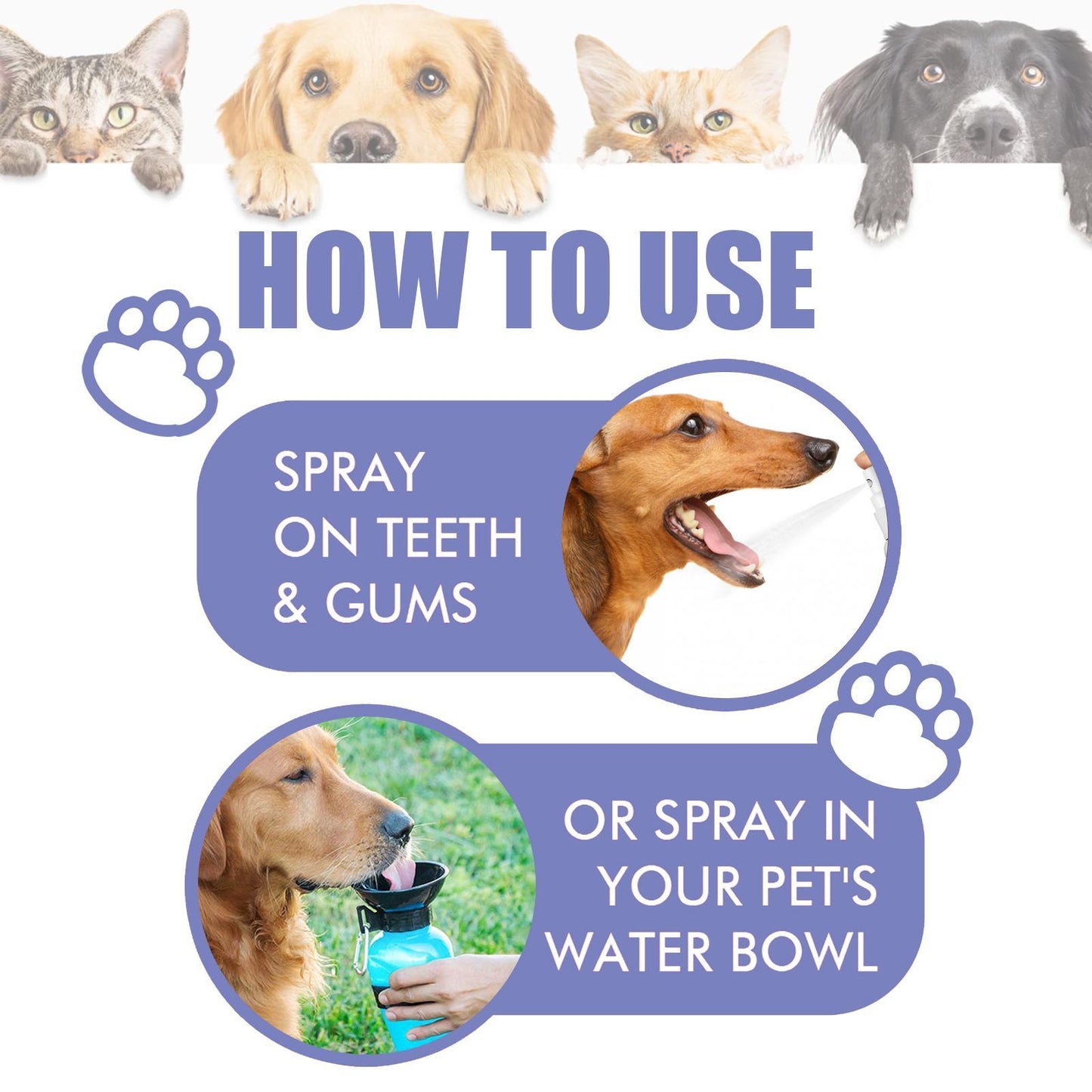Yegebang Cat And Dog Teeth Cleaning Spray Pet Oral Cleaning Deodorizing Fresh Breath Everware Hub