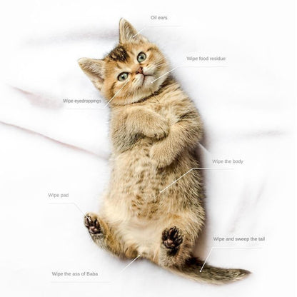 PET Cleaning  Deodorizing Bathing Wipes ForDogs And Cats, Nourish Fur Coconut OilGrooming Wipes For Dogs, Pet Cleaning GlovesWipes For Daily Care And Traveling.Hypoallergenic Everware Hub