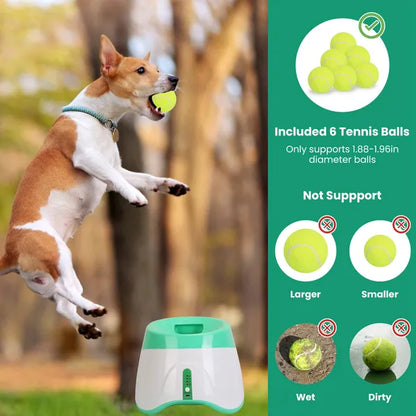 Automatic Dog Ball Launcher 6 Balls Adjustable Distance Fetch Machine