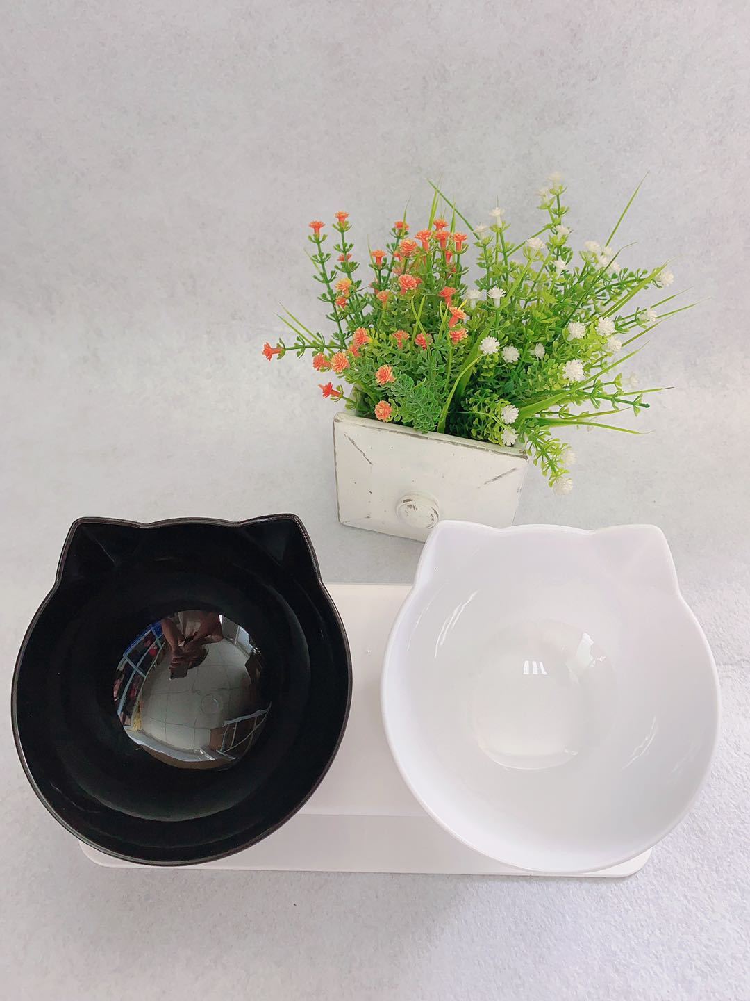 Cat Double Bowl,Elevated Cat Food & Water Bowls for Cervical Spine Protection Everware Hub