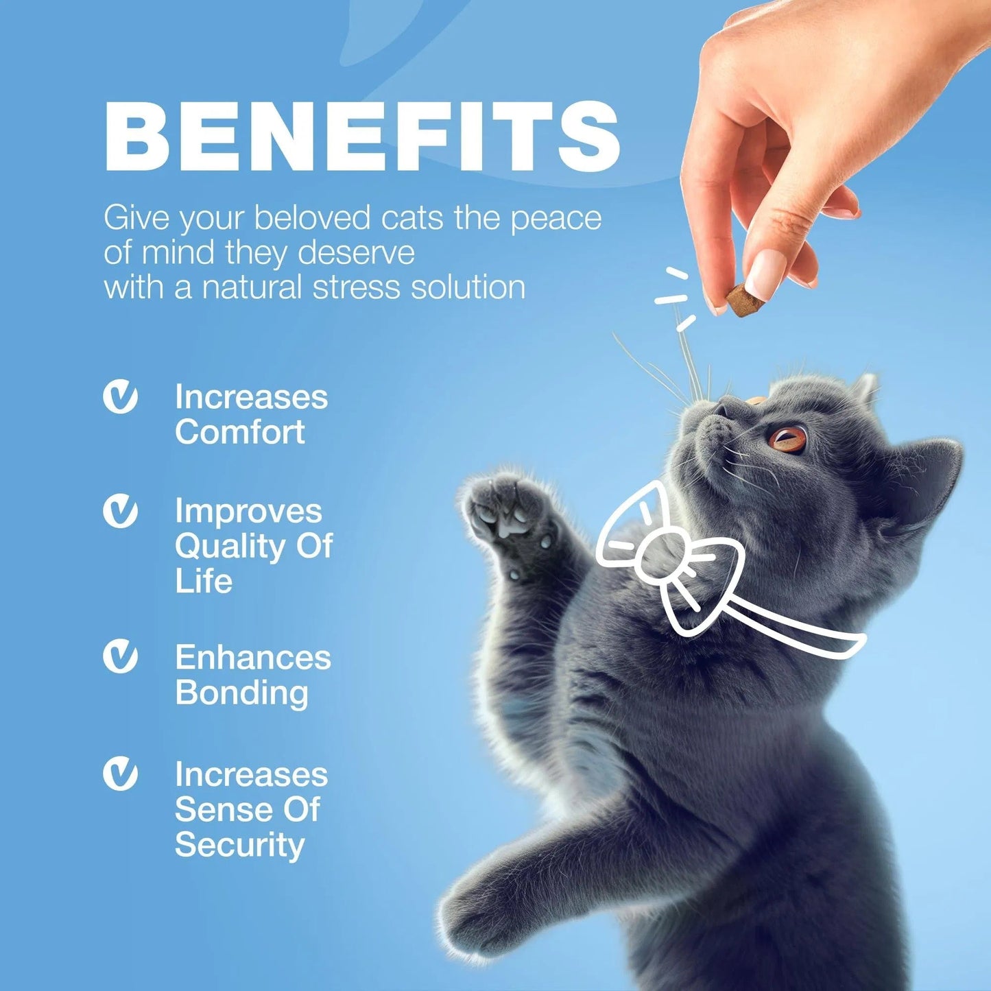 Cat Calming Treats,Hemp & Melatonin Soft Chews with Probiotics Everware Hub