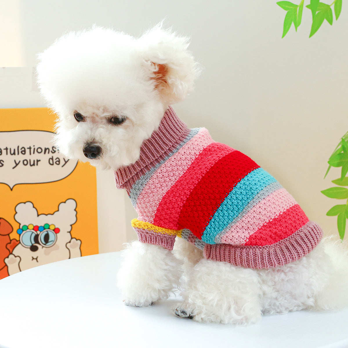Pet Ring Comfortable Color Stripes Colorful Sweater Everware Hub