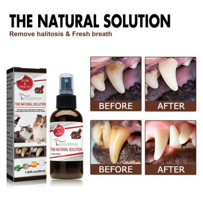 Spray De Limpieza Dental Para Mascotas Everware Hub