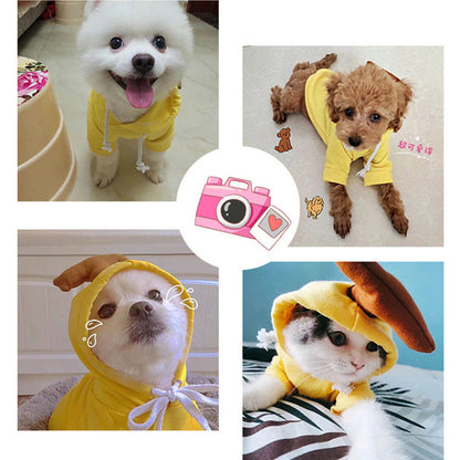 Cute Fruit Dog Clothes For Small Dogs Hoodies Winter Warm Fleece Pet Clothing Puppy Cat Costume Coat For French Chihuahua Outfit Everware Hub