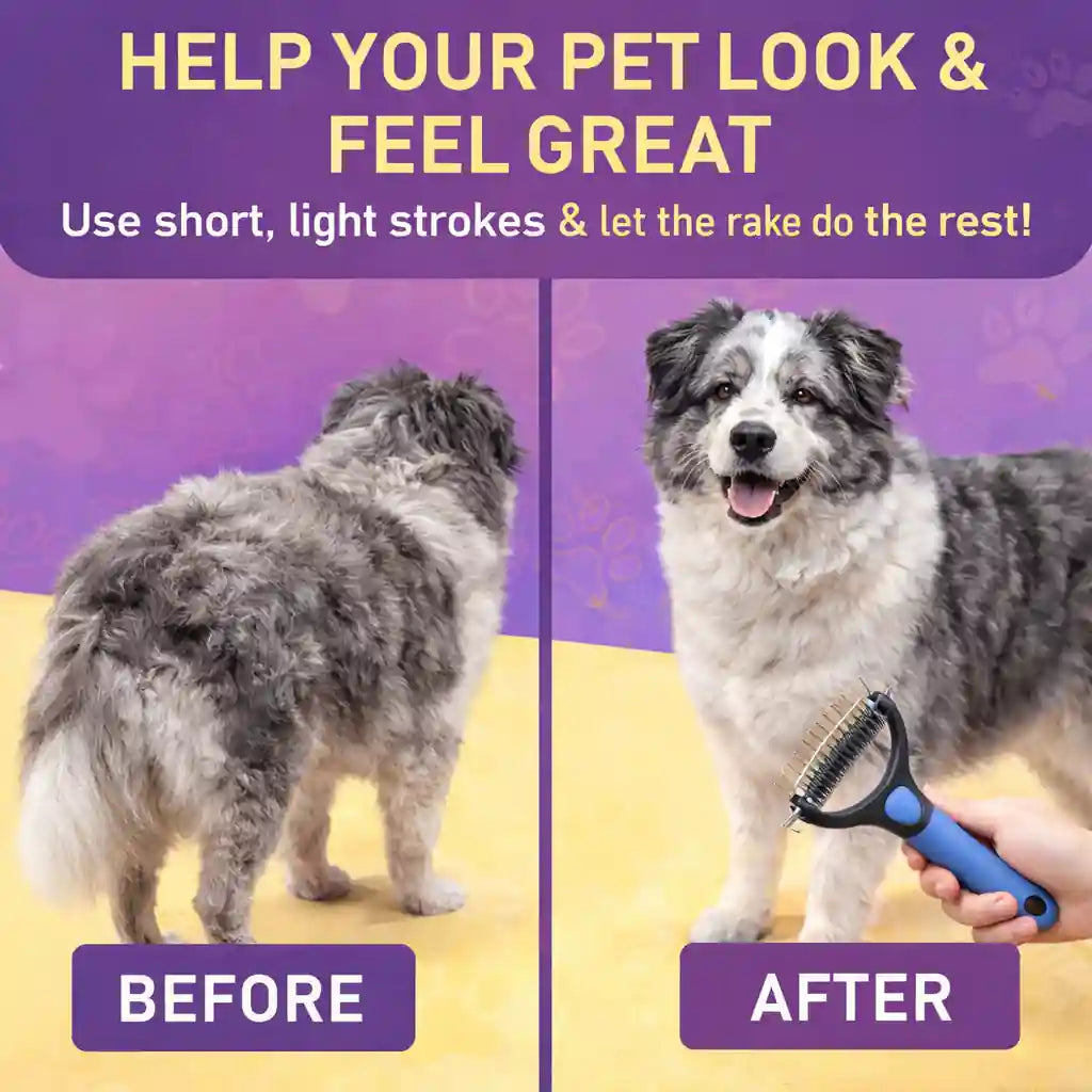 Double-sided blue dematting comb with ergonomic handle, shown used on long-haired dog before and after grooming results.