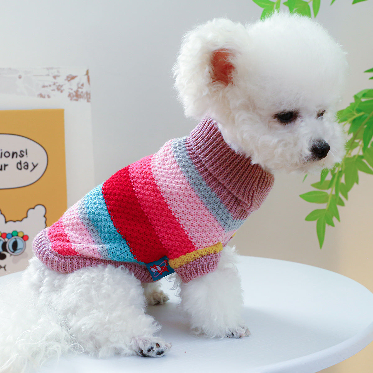 Pet Ring Comfortable Color Stripes Colorful Sweater Everware Hub