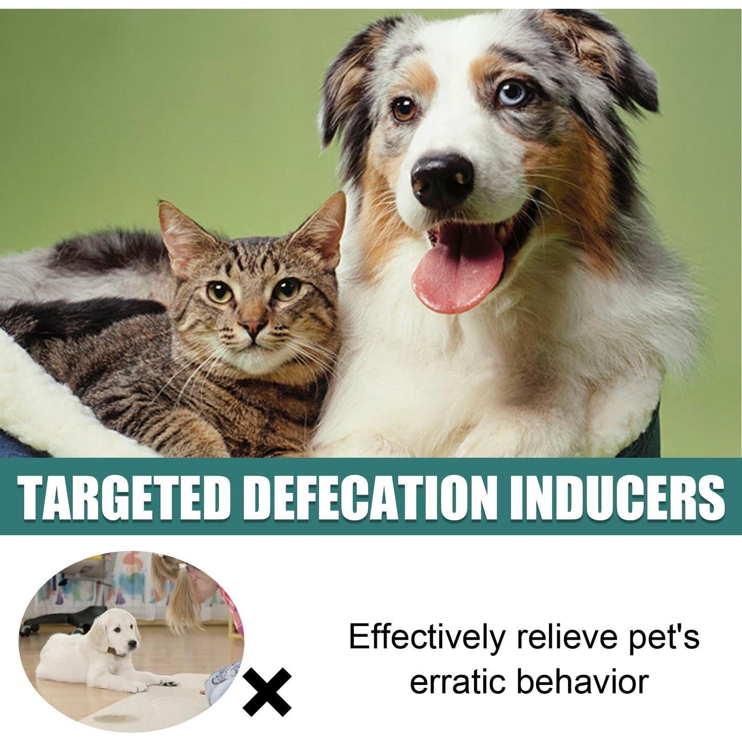 Yibang Pet Positioning Defecation Inducer Pet Toilet Inducer Urine Locator Toilet Training Agent Everware Hub