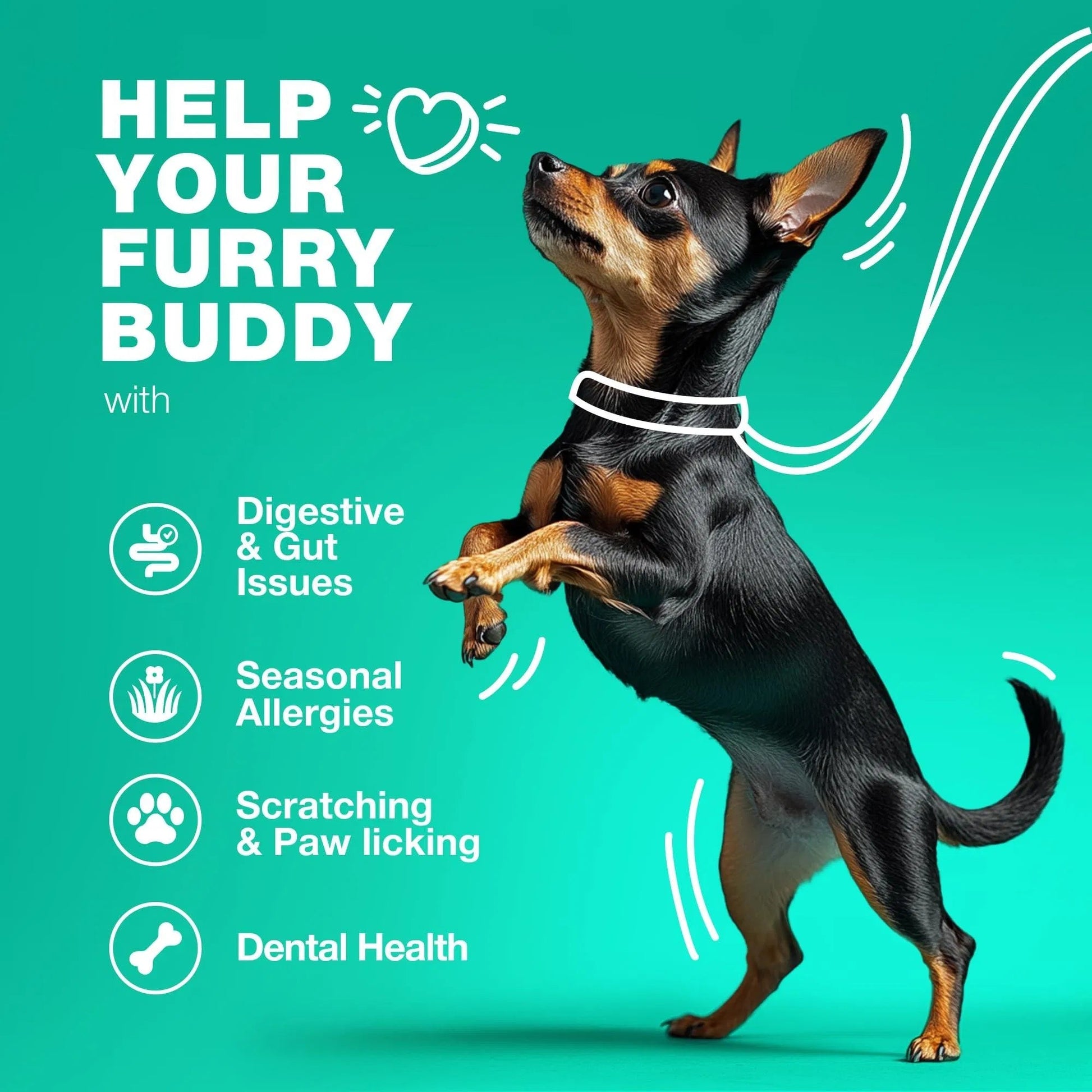 Probiotics for Dogs,180 Chews for Gut Health, Immunity & Itchy Skin Everware Hub