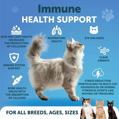 L Lysine For Cats Lysine Powder Supplement 900mg Serving Immune Support For Cats & Kittens Sneezing Runny Nose Squinting Watery Eyes Cold Eye Respiratory Health With Taurine Everware Hub