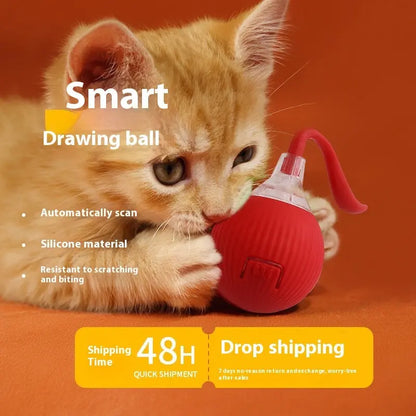 Interactive Cat Toy Ball Super Drive Cat Rolling Ball Everware Hub