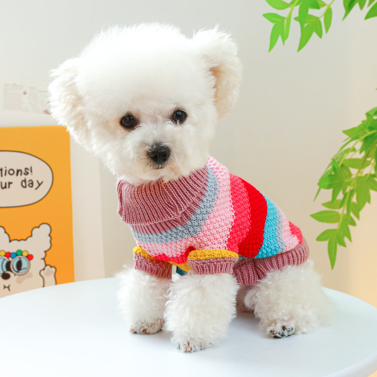 Pet Ring Comfortable Color Stripes Colorful Sweater Everware Hub