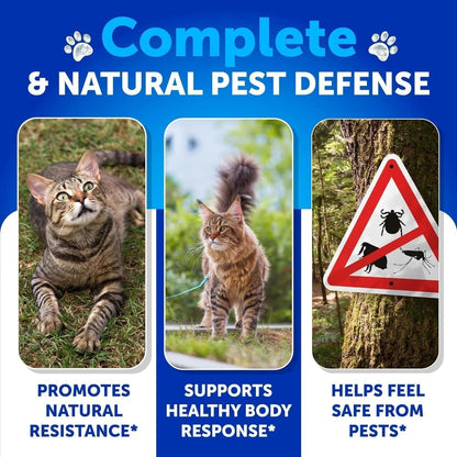 Flea Treatment For Cats Natural Flea And Tick Prevention Supplement For Cats Kittens Chewable Daily Oral Pills With Vitamins 135 Soft Chews Skin & Coat Dental Treats Digestion Everware Hub