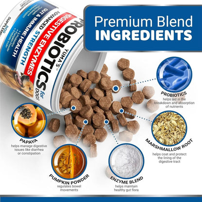 2 Pack Probiotics For Dogs And Digestive Enzymes Dog Probiotics Chews Anti Diarrhea Upset Stomach Gas Relief Constipation Canine Prebiotic Pet Fiber Supplement 340 Chews Everware Hub