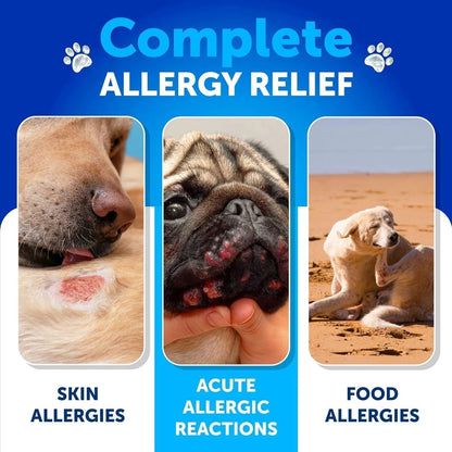 Dog Allergy Relief Chews , Anti-Itch Skin & Coat Supplement, 120 Ct Everware Hub