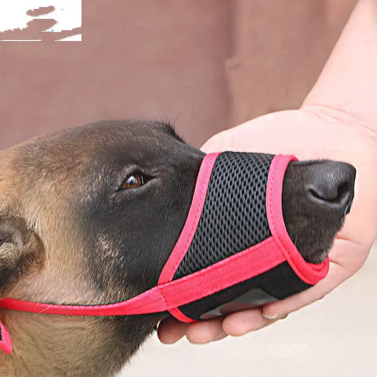 Mouth Cover To Prevent Eating Indiscriminately Large Labrador Dog Everware Hub