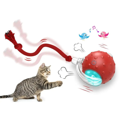 Interactive Cat Toy Ball, Super Drive Rolling Ball for Active Play Everware Hub