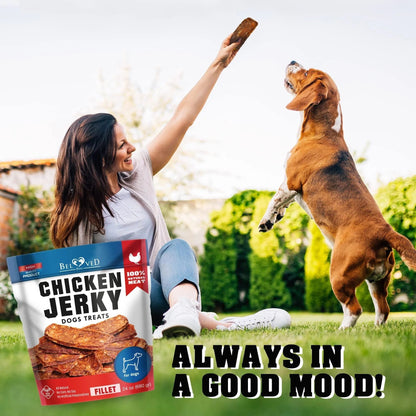 Chicken Jerky Dog Treats – 1.5 lb Grain-Free Organic Strips,High Protein Training Snacks Everware Hub